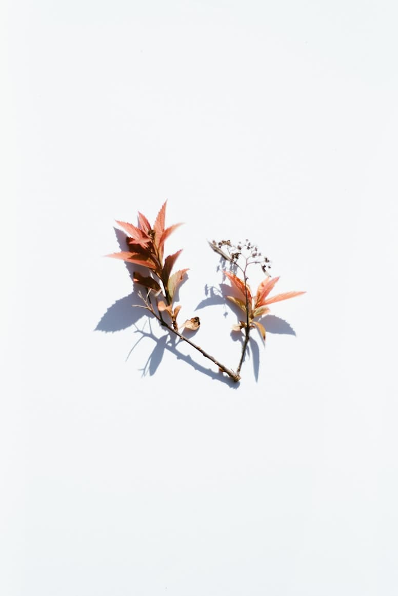 Research & Discovery